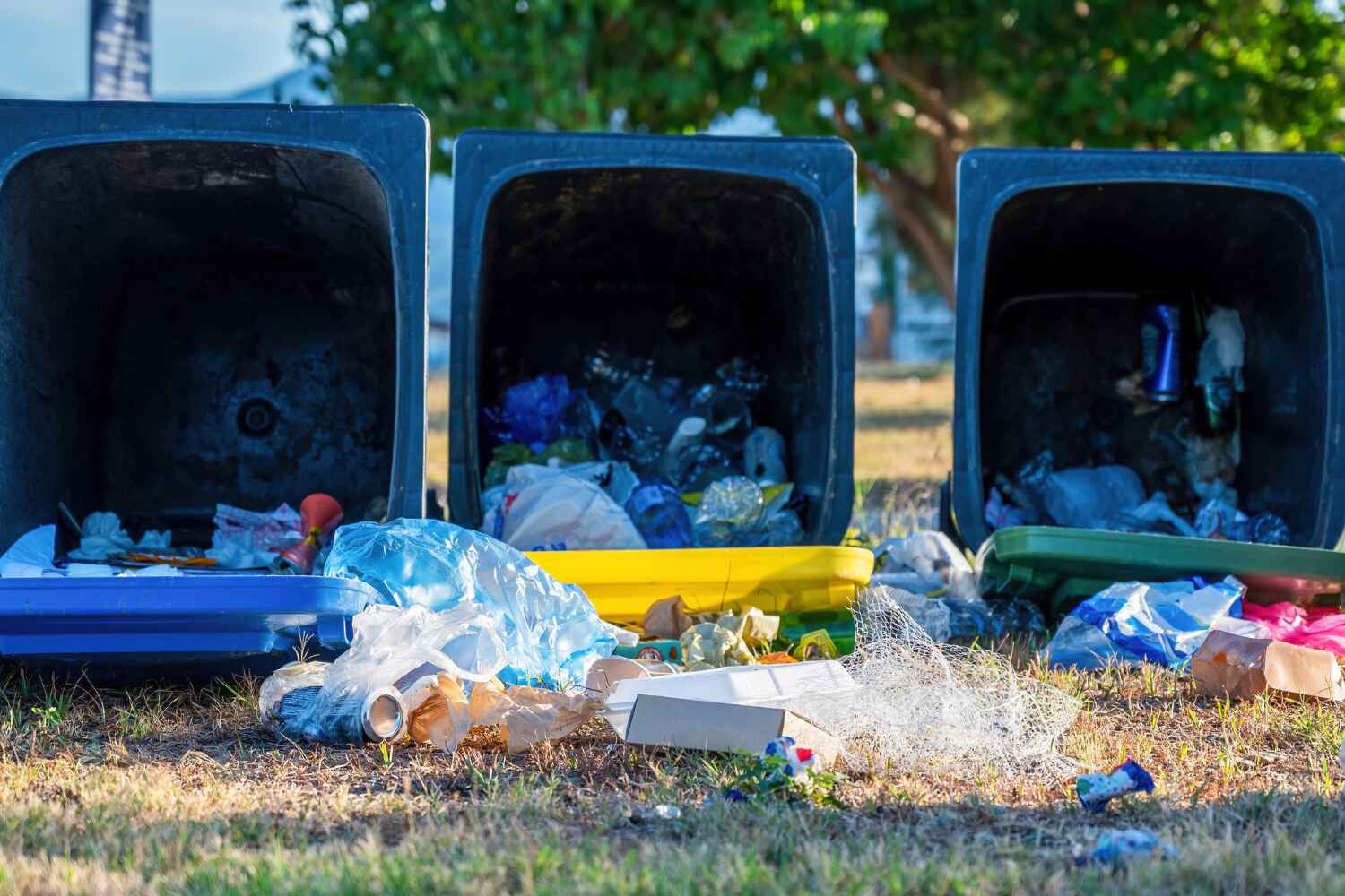 Trash Removal Near Me in Fowler, CA